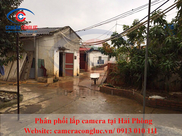 Lắp camera tại Vĩnh Bảo, Hải Phòng – Trại lợn bác Đặng, lap camera tai Vinh Bao, Hai Phong
