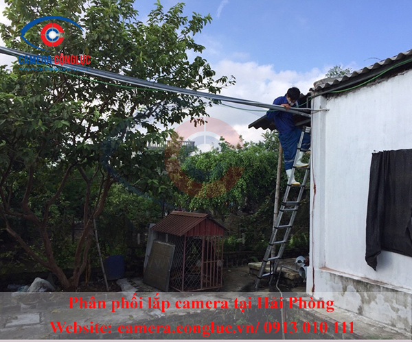 Lắp đặt camera quan sát tại Thái Thụy Thái Bình – Trang trại anh Khang