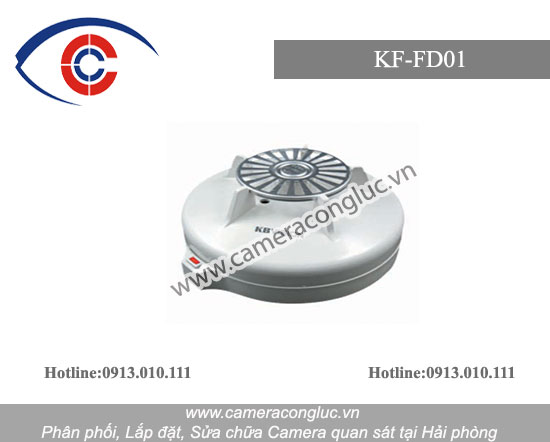Fixed temperature probe KF-FD01 in Hai Phong