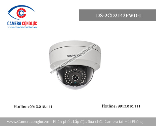 Camera DS-2CD2142FWD-I